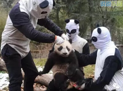 幽默搞笑心情说说 幽默搞笑心情说说