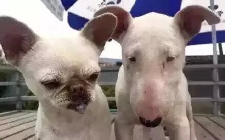 幽默说说带图片3 幽默说说带图片3