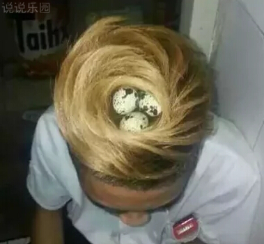 趣味横生的语录，轻松愉悦的朋友圈分享
