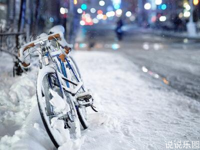 雪中的思绪，关于雪的感慨与玩笑