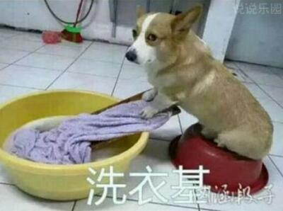 QQ搞笑说说心情短语精选