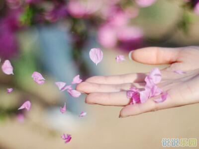 爱情的句子说说心情
