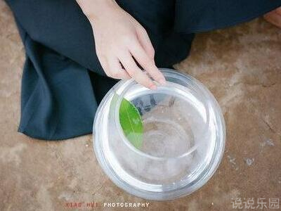 情感语录带图片1 情感语录带图片1