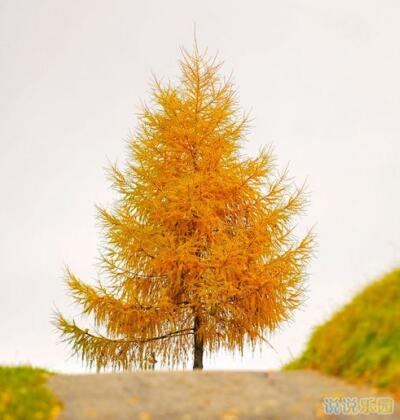 情感语录带图片2 情感语录带图片2