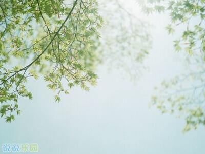 暖心的话,暖心的说说,暖心的句子说说心情 暖心的话,暖心的说说,暖心的句子说说心情