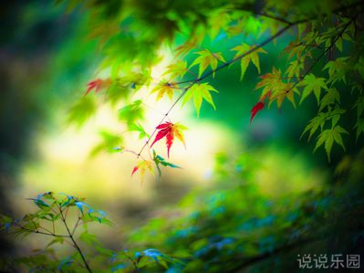 朋友圈发表的经典说说 朋友圈发表的经典说说