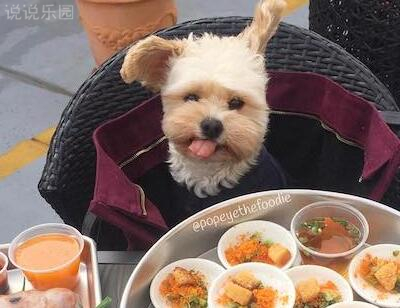 趣味短句集锦