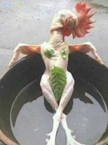 幽默搞笑的句子