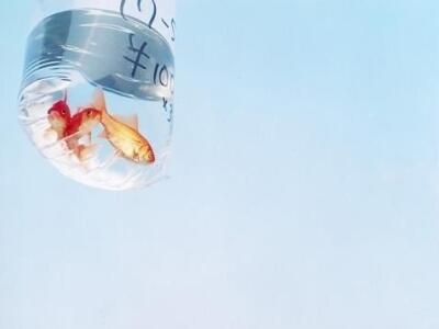 2018年心灵鸡汤语录精选