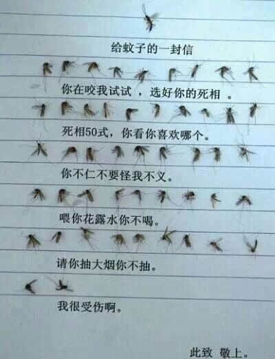 致蚊子的一封信 致蚊子的一封信
