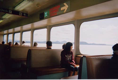 智慧如繁花，勤奋是土壤